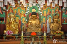 도장사(해남) 관광 정보와 주변 관광 명소 및 근처 맛집 여행 정보