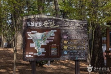 부산 암남공원 관광 정보와 주변 관광 명소 및 근처 맛집 여행 정보