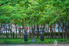 국채보상운동기념공원 관광 정보와 주변 관광 명소 및 근처 맛집 여행 정보