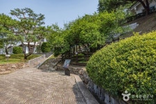 강화 갑곶리 탱자나무 관광 정보와 주변 관광 명소 및 근처 맛집 여행 정보