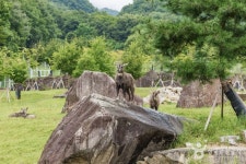 양구 산양·사향노루센터 관광 정보와 주변 관광 명소 및 근처 맛집 여행 정보