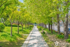 매탄공원 관광 정보와 주변 관광 명소 및 근처 맛집 여행 정보