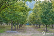 단장숲유원지 관광 정보와 주변 관광 명소 및 근처 맛집 여행 정보