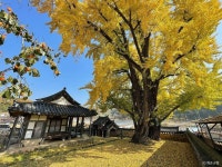 한천자연휴양림 - 주변 여행 및 근처 관광 명소 - 국내 여행 정보와 관광 명소 정보