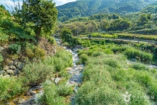 고운동계곡 관광 정보와 주변 관광 명소 및 근처 맛집 여행 정보