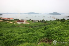 완도 개매기마을 관광 정보와 주변 관광 명소 및 근처 맛집 여행 정보