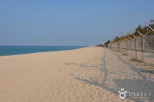 Yeongokhaebyeon Beach (Yeongok Beach) (연곡해변(연곡해수욕장)) - Sightseeing - Korea travel and tourism information