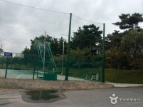 청포대하와이펜션 숙박 정보와 주변 관광 명소 및 근처 맛집 여행 정보