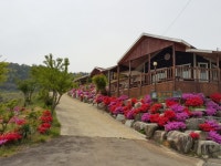 고흥 해창만 간척지 공원 - 주변 여행 및 근처 관광 명소 - 국내 여행 정보와 관광 명소 정보