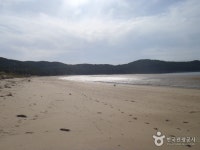 신진도 - 주변 여행 및 근처 관광 명소 - 국내 여행 정보와 관광 명소 정보