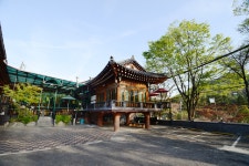 개미촌 음식점 정보와 주변 관광 명소 및 근처 맛집 여행 정보