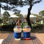 메르블루 음식점 정보와 주변 관광 명소 및 근처 맛집 여행 정보