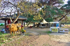 마금산원탕 - 주변 여행 및 근처 관광 명소 - 국내 여행 정보와 관광 명소 정보