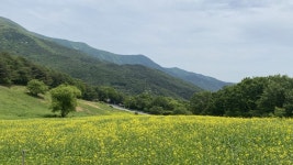 솔밭길꿩농원 - 주변 여행 및 근처 관광 명소 - 국내 여행 정보와 관광 명소 정보