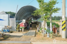 강화도 자연체험농장 관광 정보와 주변 관광 명소 및 근처 맛집 여행 정보