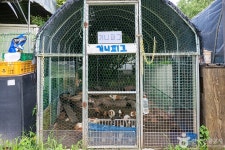 달콤딸기농장 관광 정보와 주변 관광 명소 및 근처 맛집 여행 정보