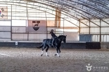 남서울승마클럽 레저스포츠 정보와 주변 관광 명소 및 근처 맛집 여행 정보