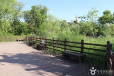 정부대전청사 자연마당 관광 정보와 주변 관광 명소 및 근처 맛집 여행 정보