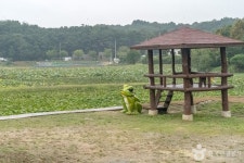 내동마을 연꽃단지 관광 정보와 주변 관광 명소 및 근처 맛집 여행 정보