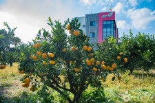 제주향농원 관광 정보와 주변 관광 명소 및 근처 맛집 여행 정보