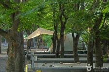 화양동관광농원 관광 정보와 주변 관광 명소 및 근처 맛집 여행 정보