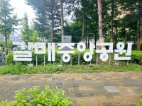 부부횟집 - 주변 여행 및 근처 관광 명소 - 국내 여행 정보와 관광 명소 정보