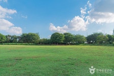 평화잔디광장 관광 정보와 주변 관광 명소 및 근처 맛집 여행 정보