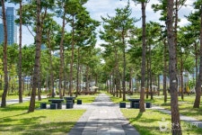 세종중앙공원 관광 정보와 주변 관광 명소 및 근처 맛집 여행 정보