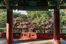 구성공원 관광 정보와 주변 관광 명소 및 근처 맛집 여행 정보