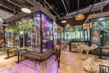 테이블에이 앤 로우캣 - 주변 여행 및 근처 관광 명소 - 국내 여행 정보와 관광 명소 정보