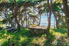 함평용월리지석묘군 관광 정보와 주변 관광 명소 및 근처 맛집 여행 정보