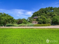 예천권씨 병암정 및 별묘 관광 정보와 주변 관광 명소 및 근처 맛집 여행 정보