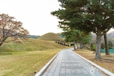 경주 서악동 고분군 관광 정보와 주변 관광 명소 및 근처 맛집 여행 정보