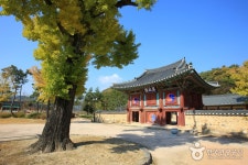 산, 고산 - 캠프위크