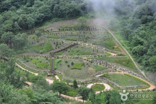 Daea Arboretum (대아수목원) - Sightseeing - Korea travel and tourism information