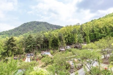 마로니에숲캠핑장 레저스포츠 정보와 주변 관광 명소 및 근처 맛집 여행 정보