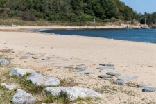 명파해변 관광 정보와 주변 관광 명소 및 근처 맛집 여행 정보