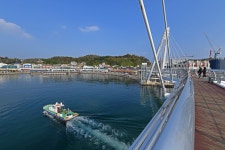 BENIKEA Hotel Mountain & Ocean Daepohang (베니키아 호텔 산과 바다 대포항) - Los alrededores - los viajes e información... 