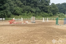 용인포니승마클럽 레저스포츠 정보와 주변 관광 명소 및 근처 맛집 여행 정보