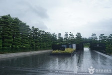 UN Memorial Cemetery (재한유엔기념공원 (UN기념공원)) - Sightseeing - Korea travel and tourism information