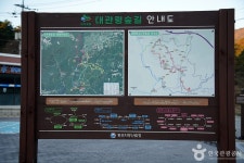 대관령 소나무숲길 레저스포츠 정보와 주변 관광 명소 및 근처 맛집 여행 정보