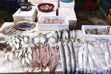 역전시장 쇼핑 정보와 주변 관광 명소 및 근처 맛집 여행 정보