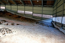 중원 미륵리 도요지 관광 정보와 주변 관광 명소 및 근처 맛집 여행 정보