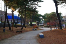 정림사지와 사비길 관광 정보와 주변 관광 명소 및 근처 맛집 여행 정보