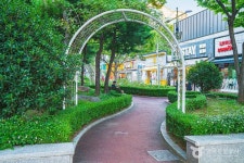 장미의거리 관광 정보와 주변 관광 명소 및 근처 맛집 여행 정보