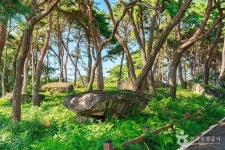 함평용월리지석묘군 관광 정보와 주변 관광 명소 및 근처 맛집 여행 정보