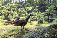 한림공원 관광 정보와 주변 관광 명소 및 근처 맛집 여행 정보