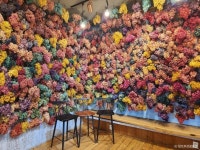 뒷뜨루관광농원 관광 정보와 주변 관광 명소 및 근처 맛집 여행 정보