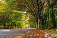 [대구올레 팔공산 1코스] 북지장사 가는 길 레저스포츠 정보와 주변 관광 명소 및 근처 맛집 여행 정보