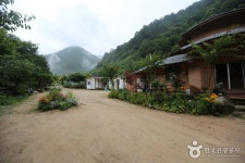 들꽃나라펜션 숙박 정보와 주변 관광 명소 및 근처 맛집 여행 정보